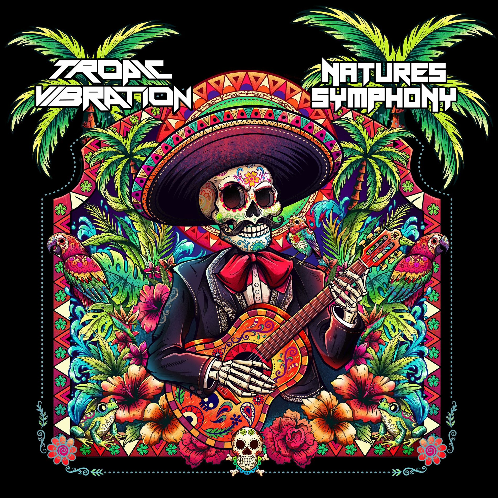 Album cover of Natures Symphony