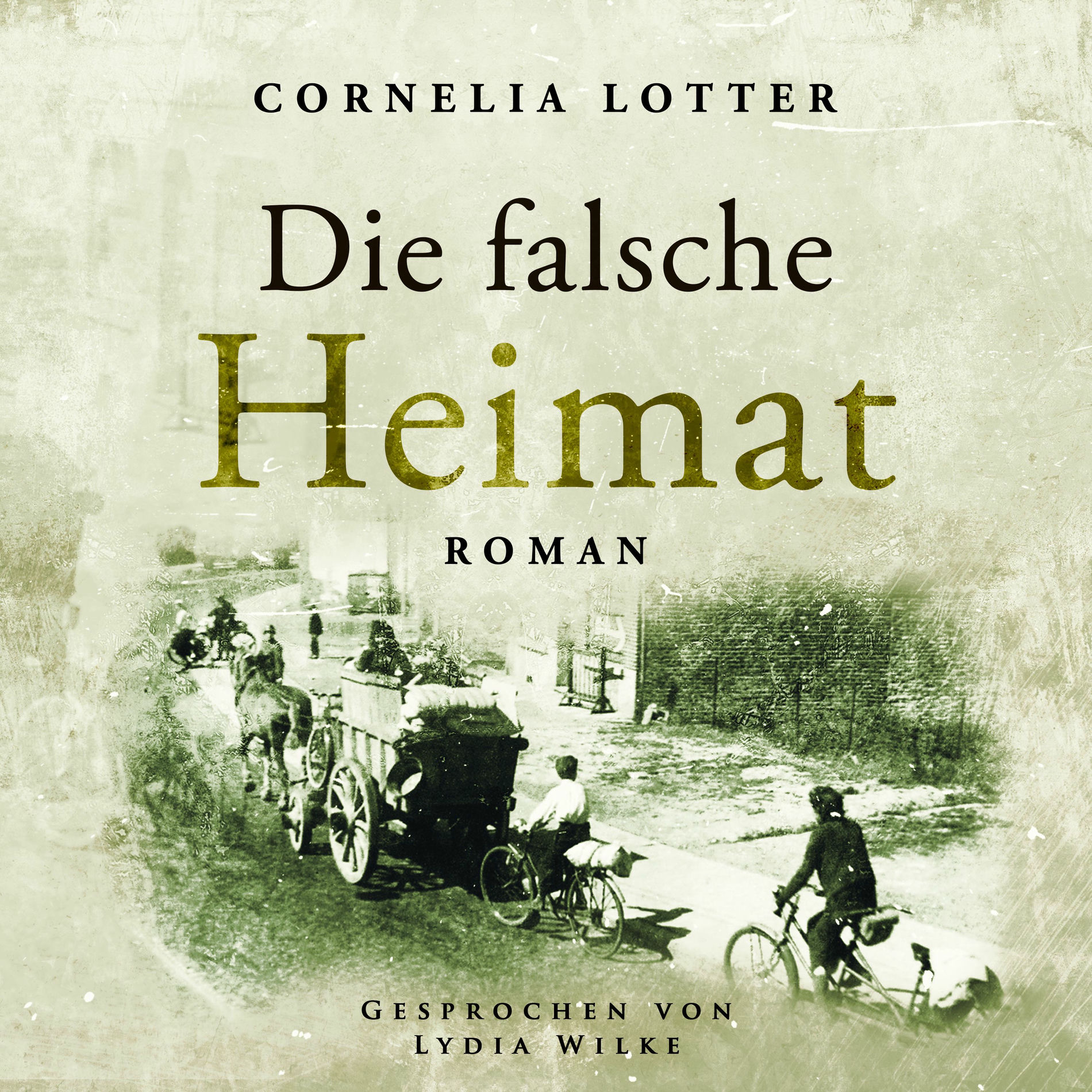 Album cover of Die falsche Heimat