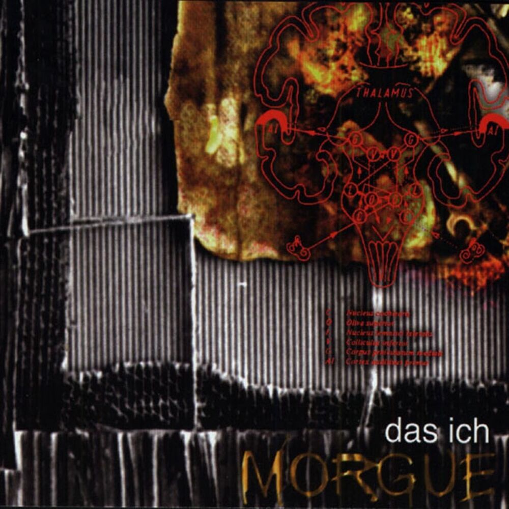 Picture of Morgue