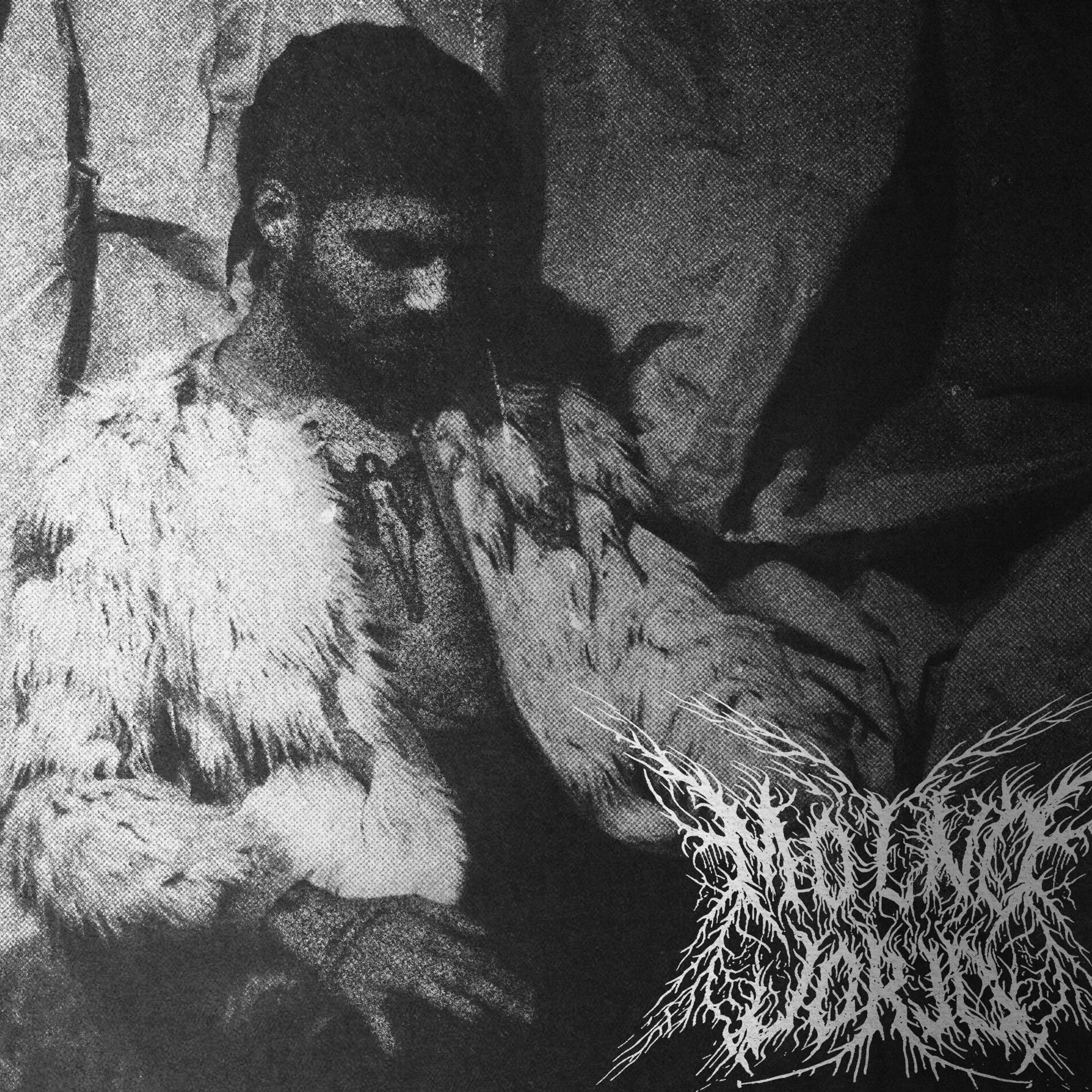 Album cover of Fantasy