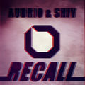Recall