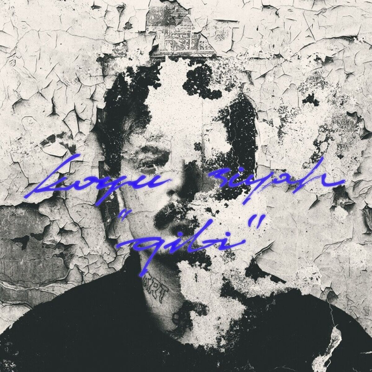 Album cover of Koyu Siyah Gibi