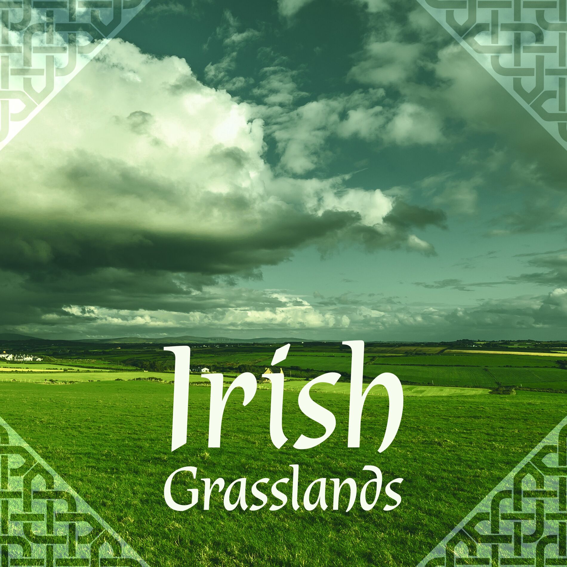 Album cover of Irish Grasslands: Relaxing Celtic Fiddle Music