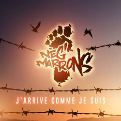 Cover of J'arrive comme je suis