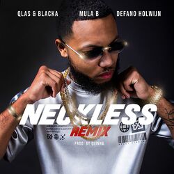 Cover of Neckless (Feat. Defano Holwijn) [Remix]