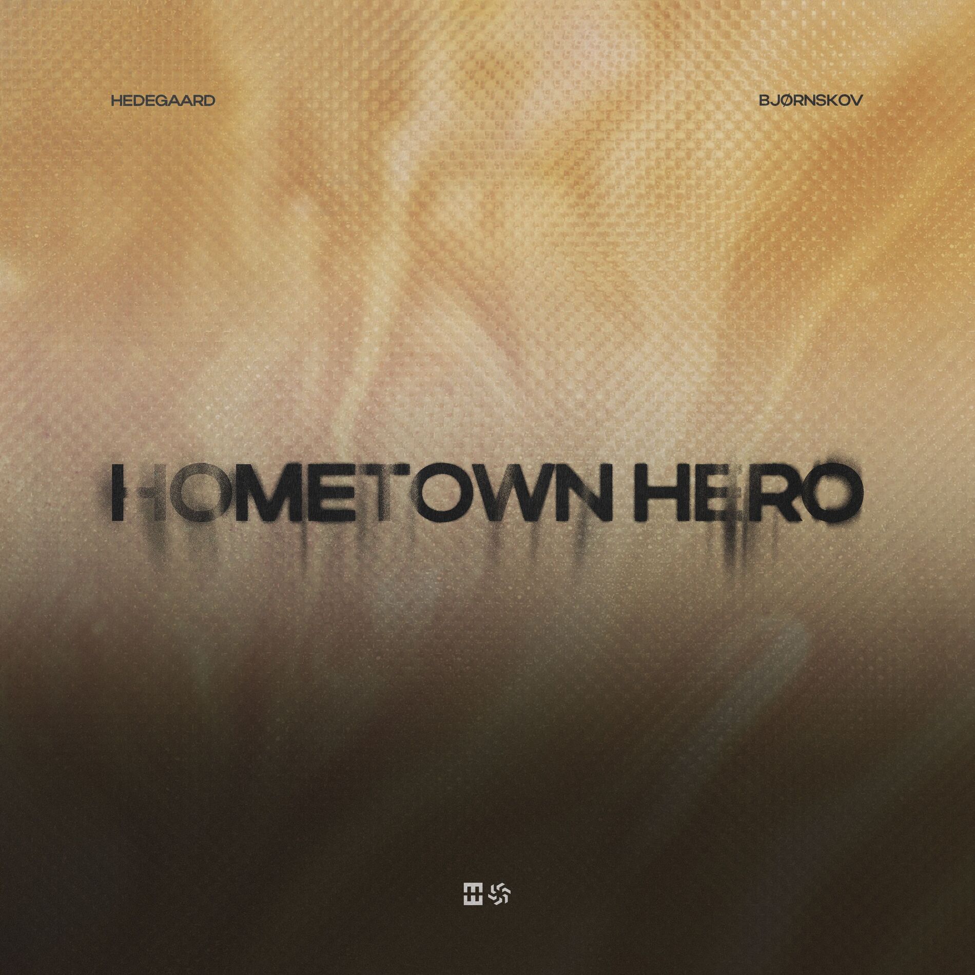 Album cover of Hometown Hero (Stripped Version)