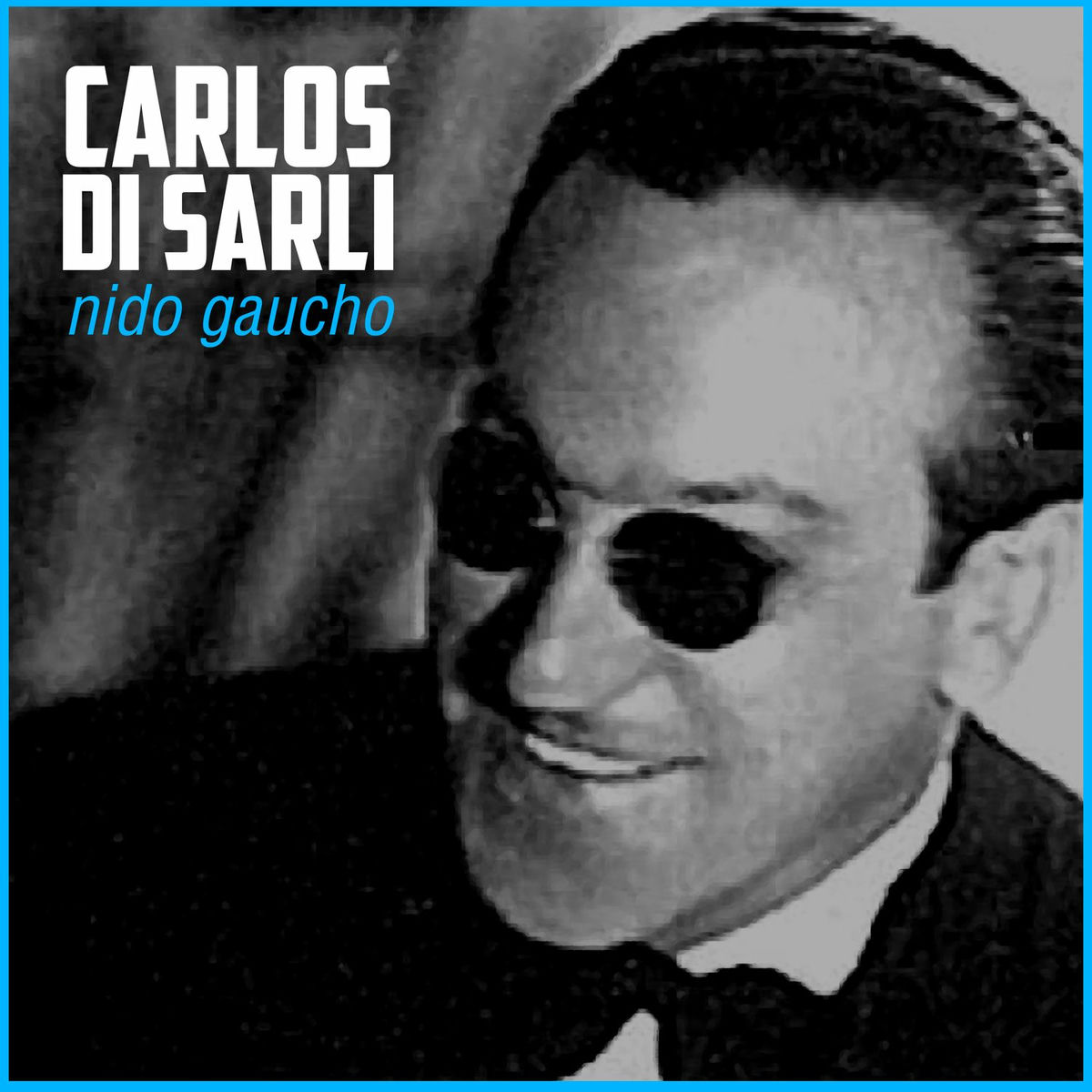 Album cover of Nido Gaucho