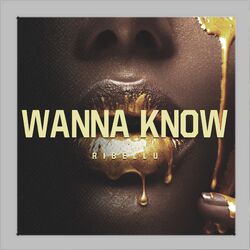 Cover of Wanna Know