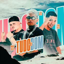 Cover of Tudo de Bom
