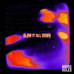 Cover of Slow It All Down