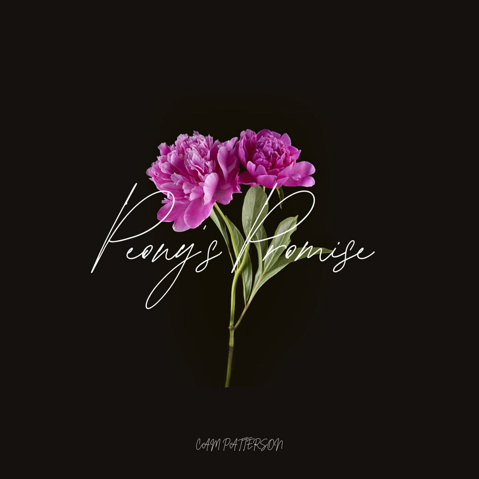 Album cover of Peony's Promise