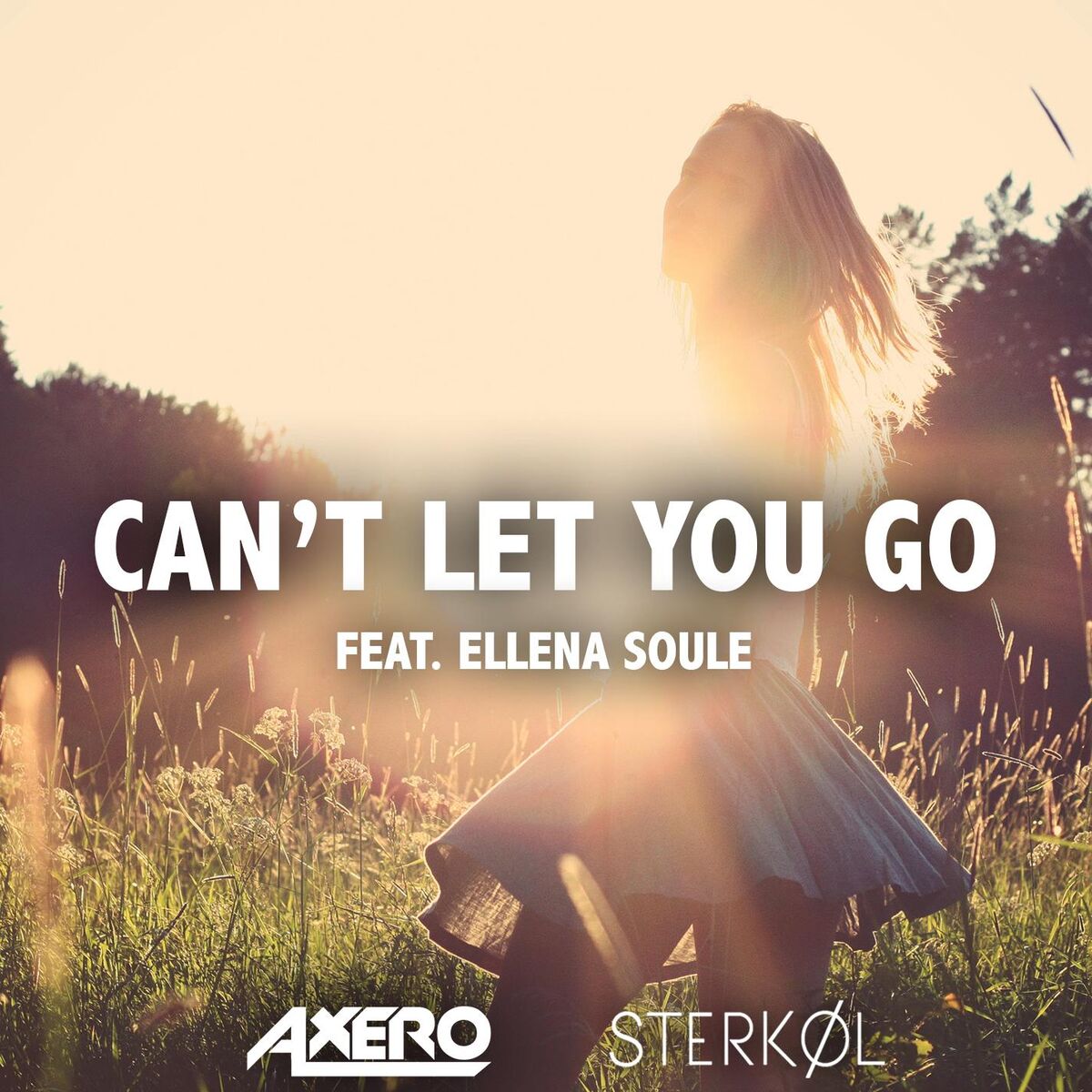 Album cover of Can't Let You Go (ft. Ellena Soule)
