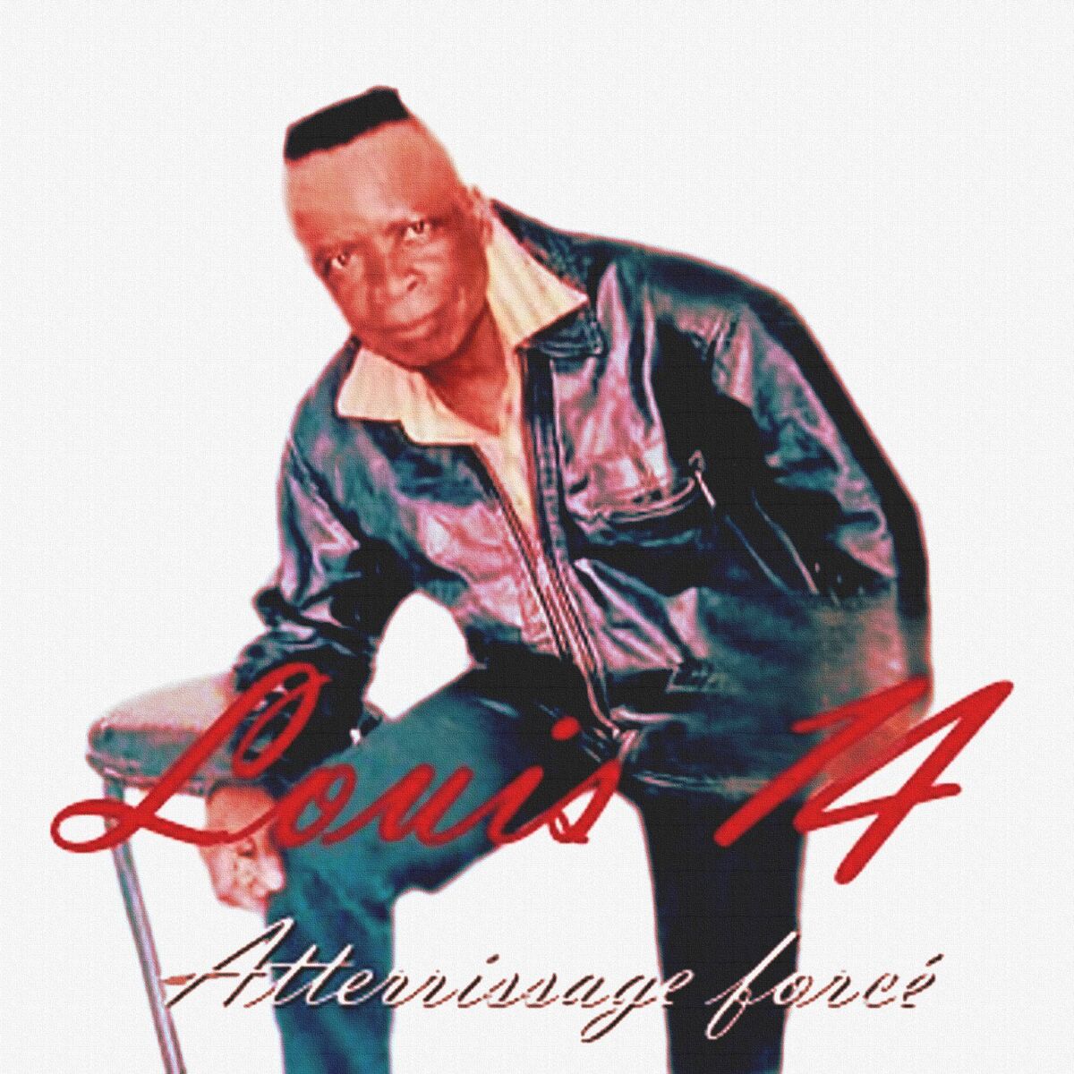 Album cover of Atterissage forcé