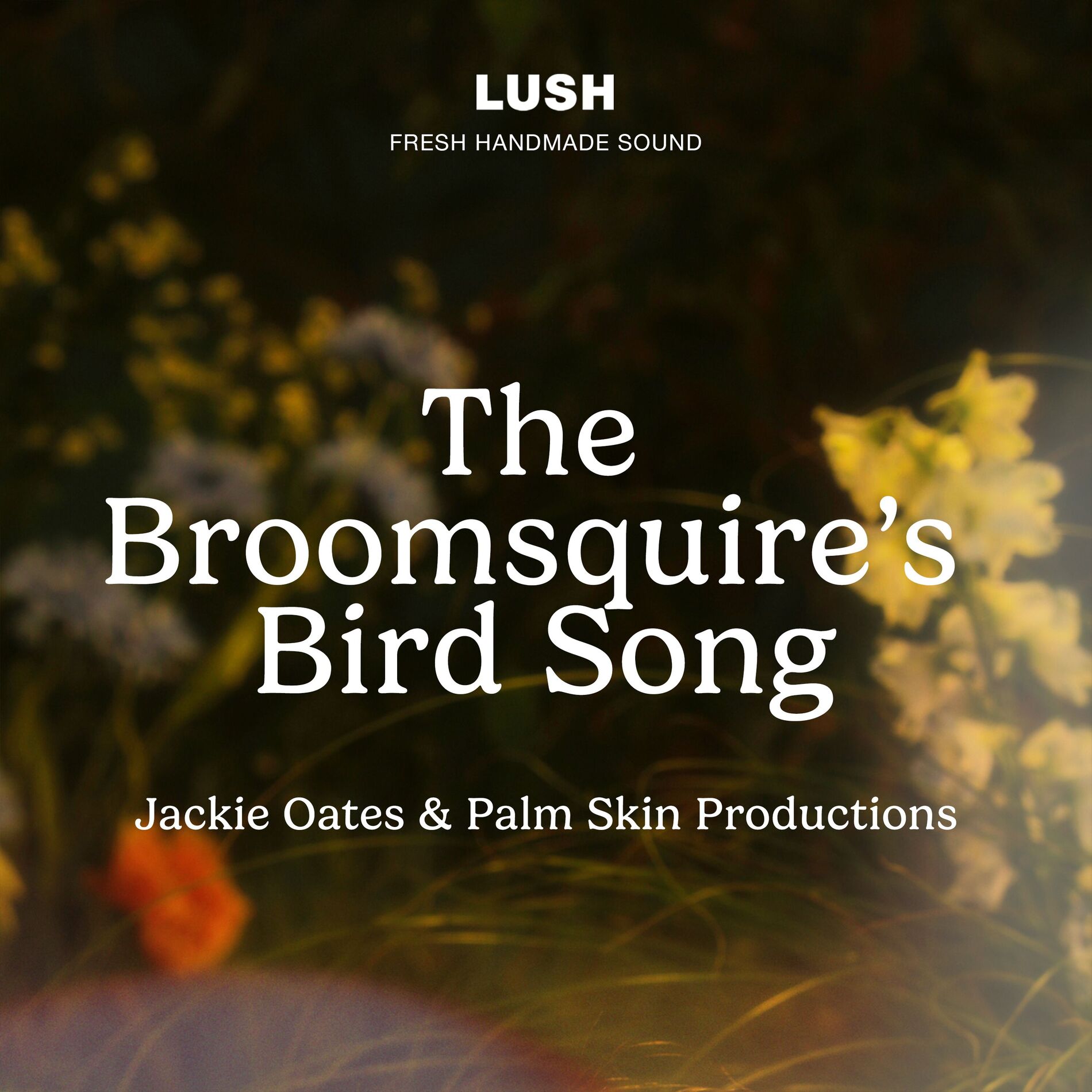 Album cover of The Broomsquire's Bird Song