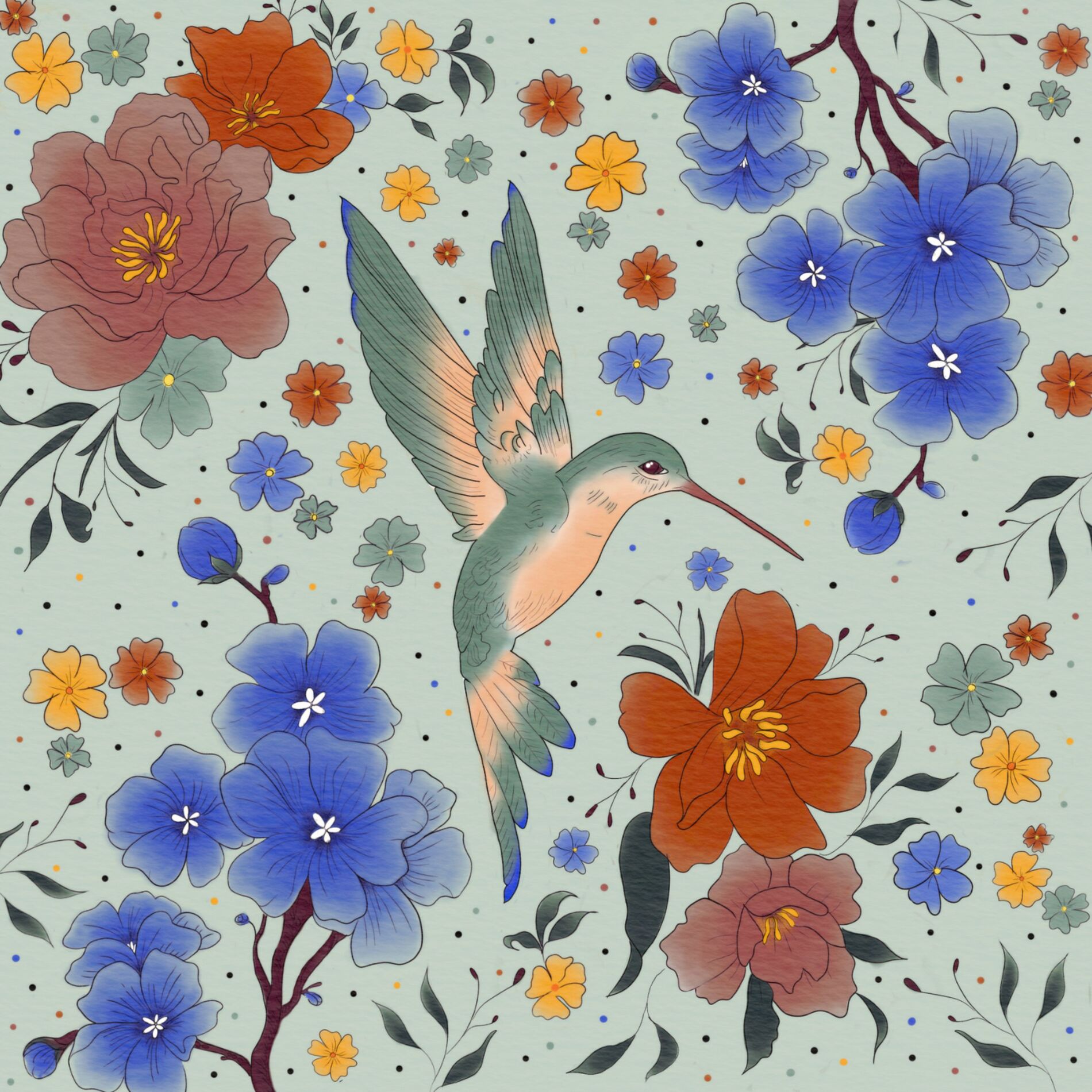 Album cover of Colibrí