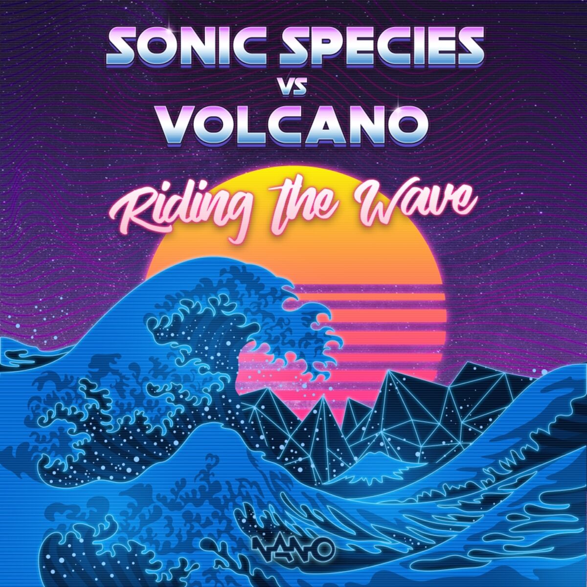 Album cover of Riding The Wave