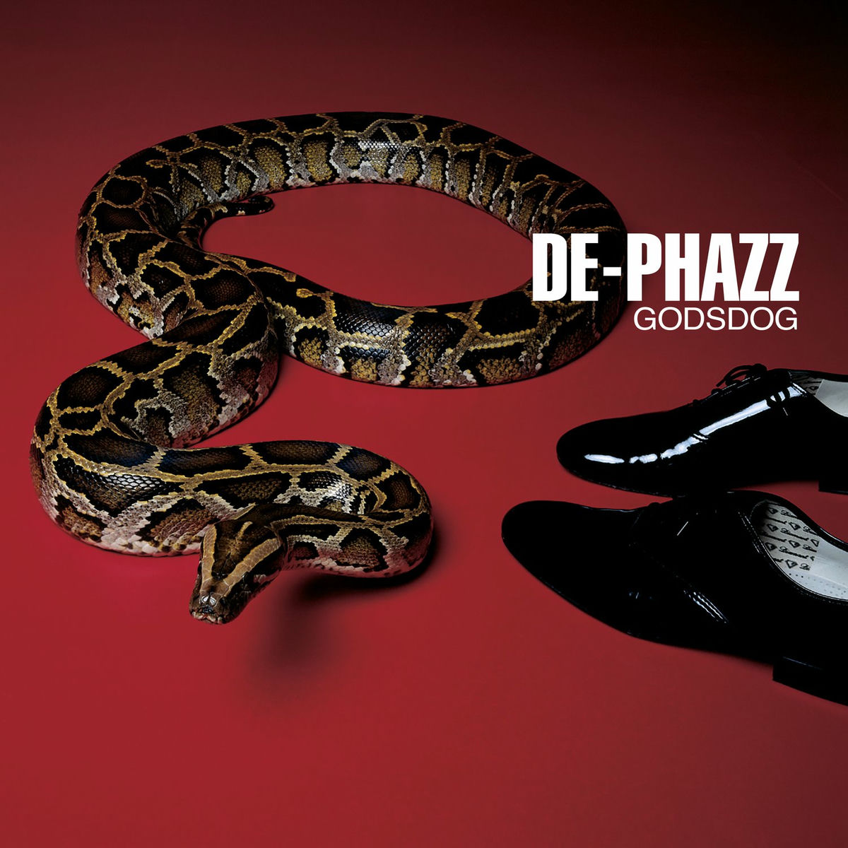 Album cover of The Mambo Craze