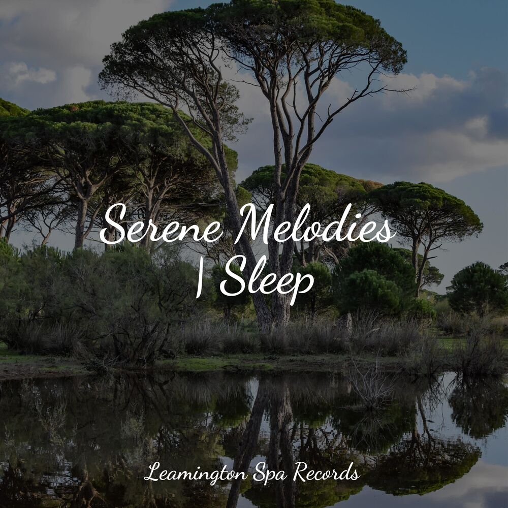 Picture of Serene Melodies | Sleep