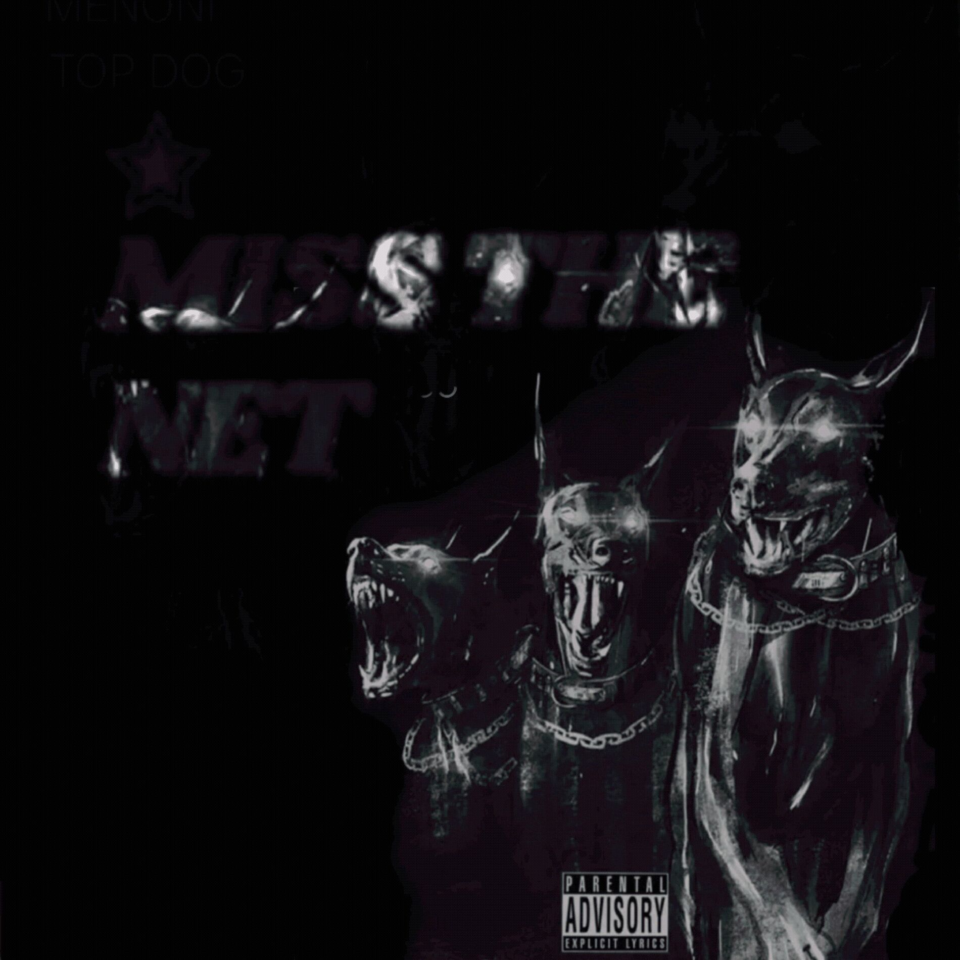 Album cover of NETS BACK Online