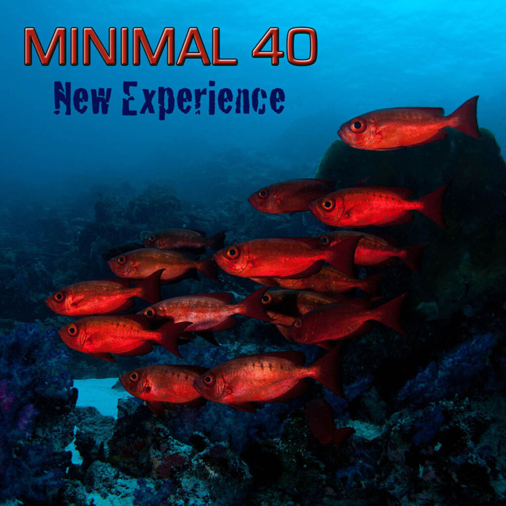 Picture of Minimal 40 New Experience