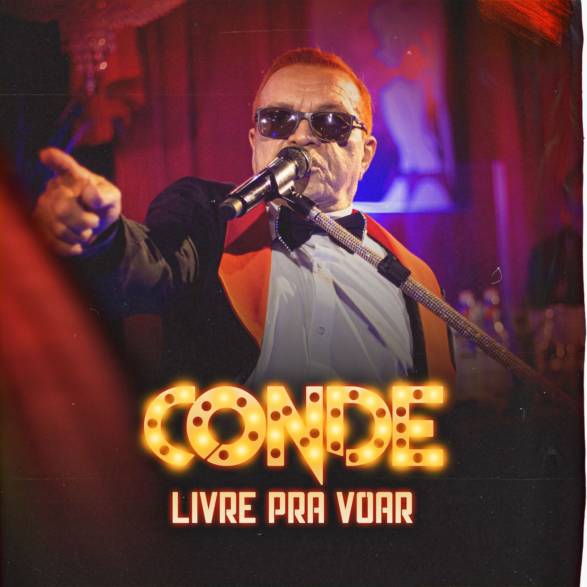 Album cover of A Vida É Assim