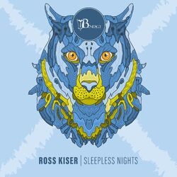 Cover of Sleepless Nights