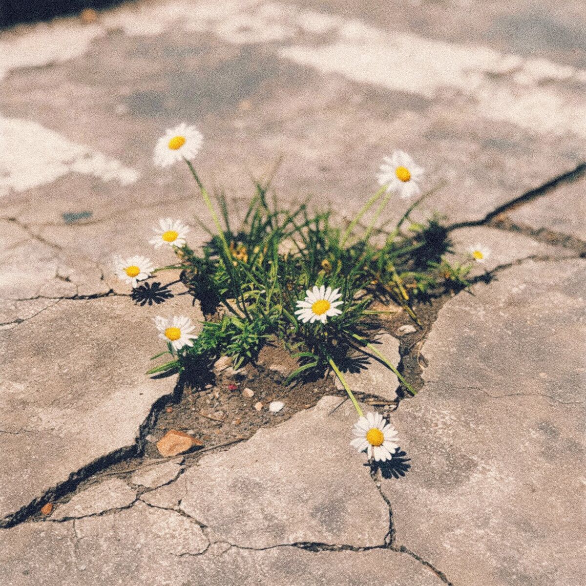 Album cover of This Place