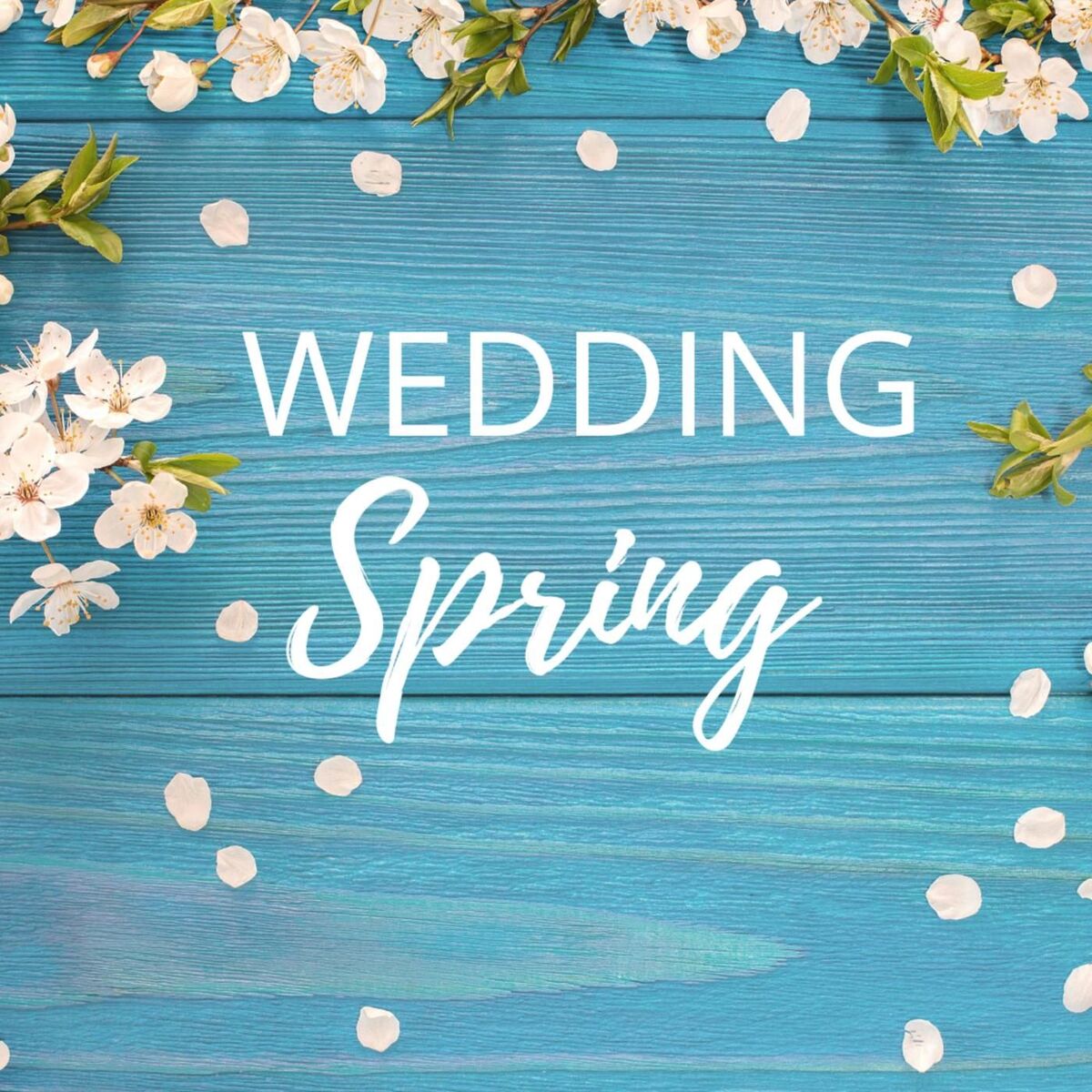 Album cover of Wedding Spring
