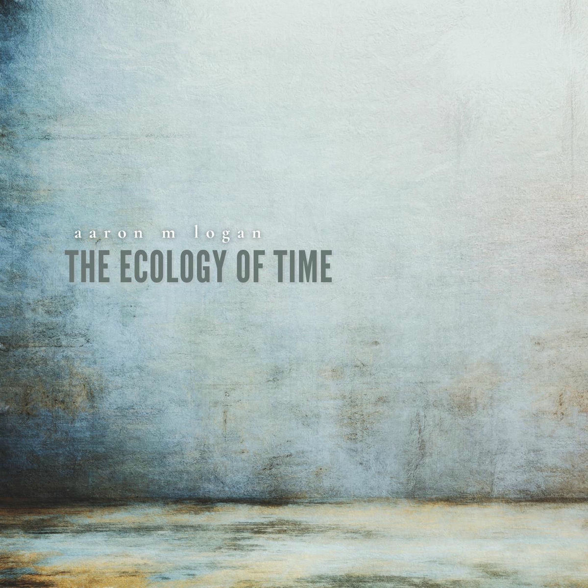 Album cover of The Ecology of Time