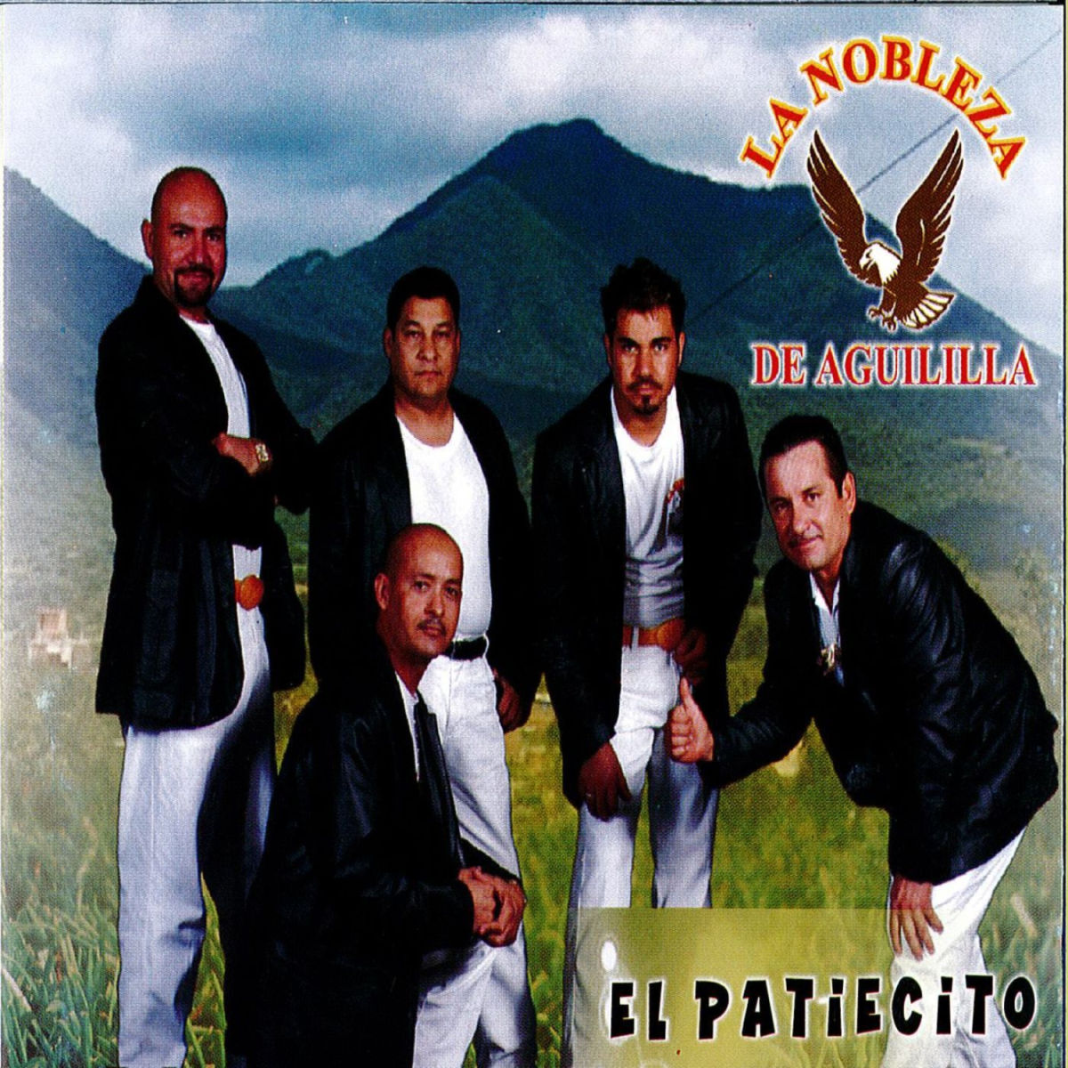 Album cover of El Patiecito
