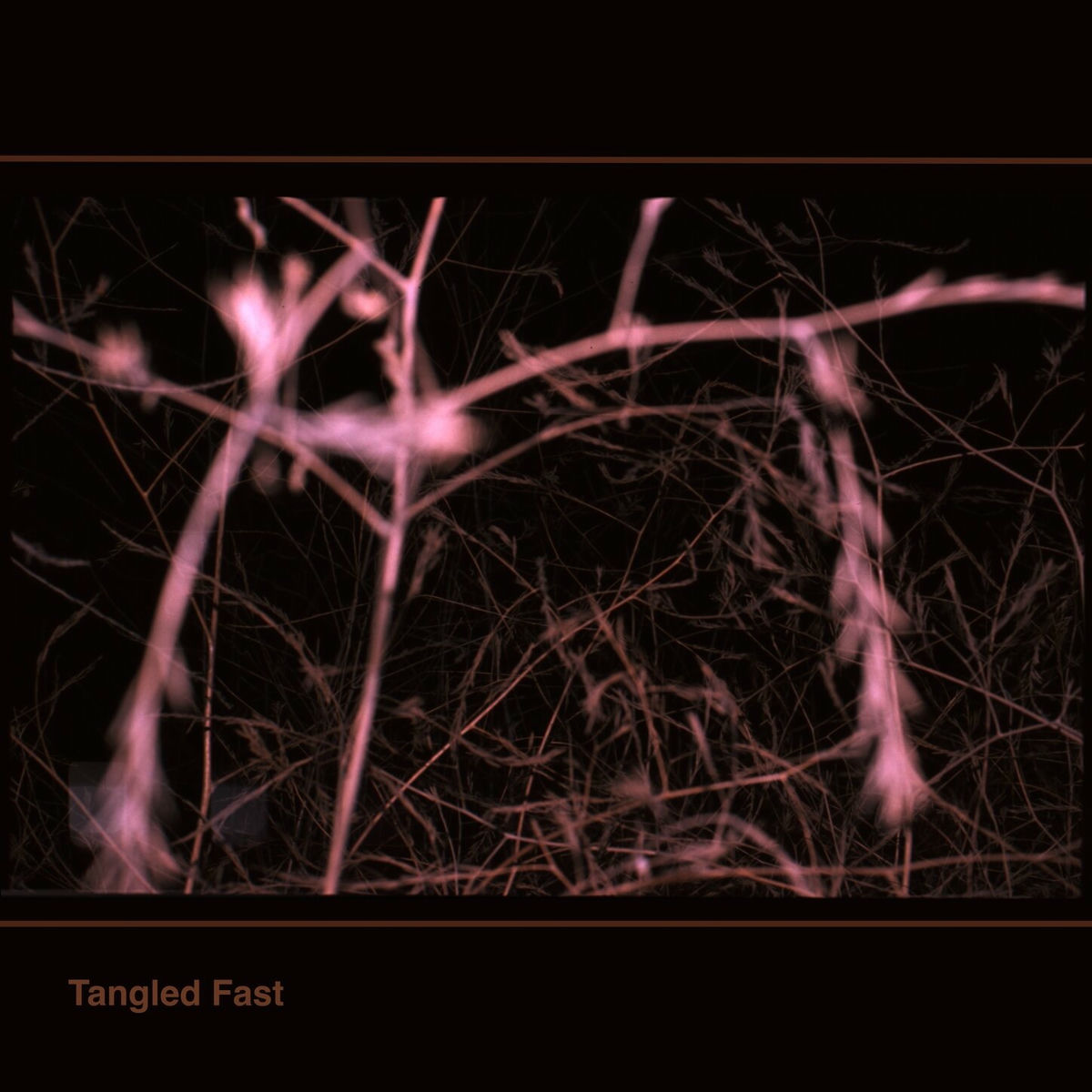 Album cover of Tangled Fast