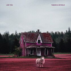 Cover of Like You