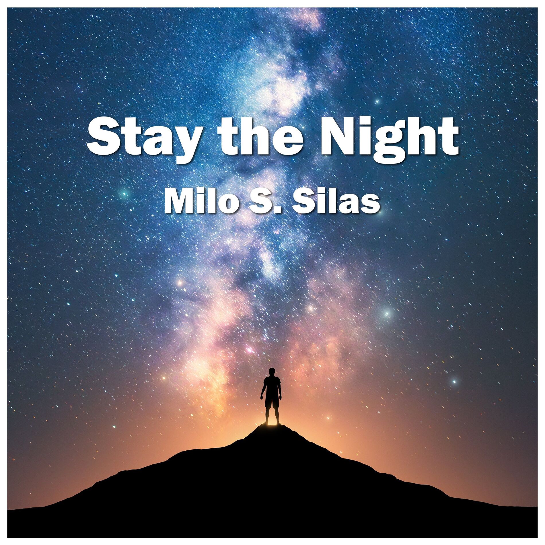 Album cover of Stay the Night
