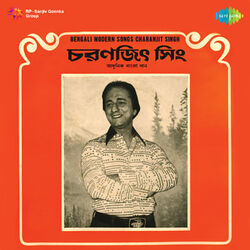 Cover of Bengali Modern Songs