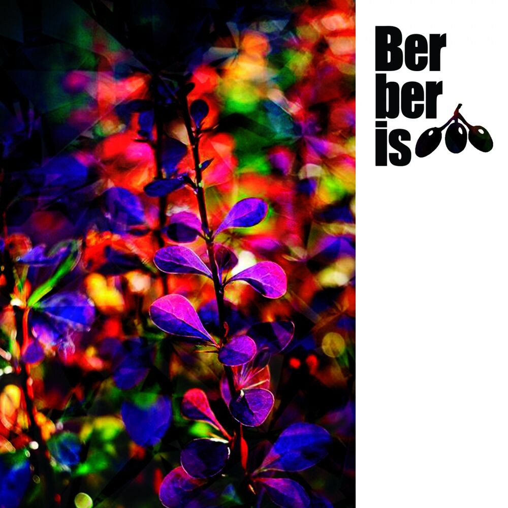 Picture of Genetical EP