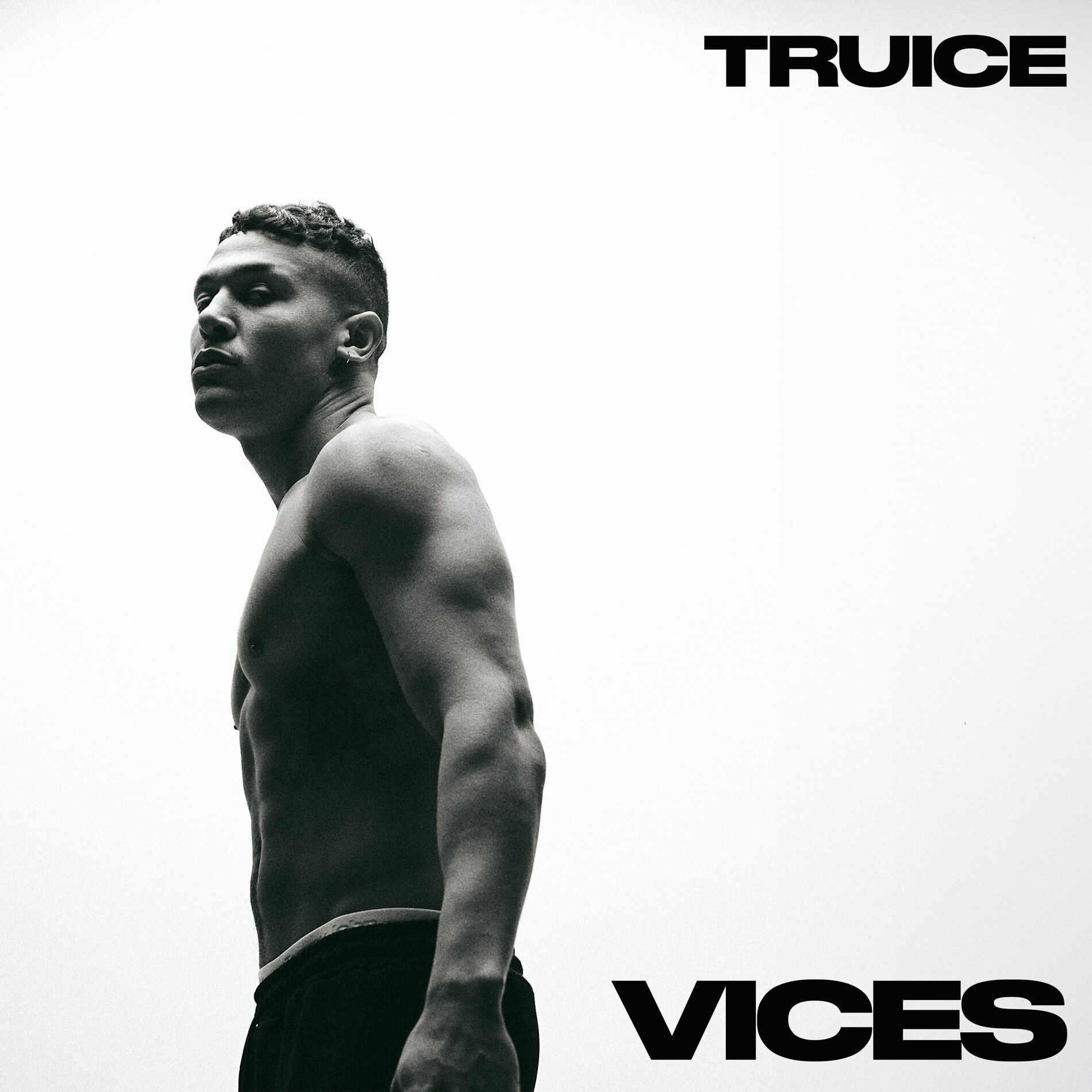Album cover of Vices