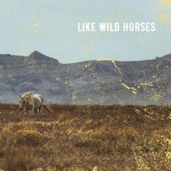 Cover of Like Wild Horses