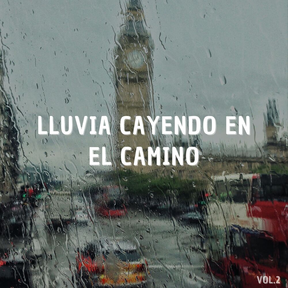 Picture of Lluvia cayendo en el camino Vol.2