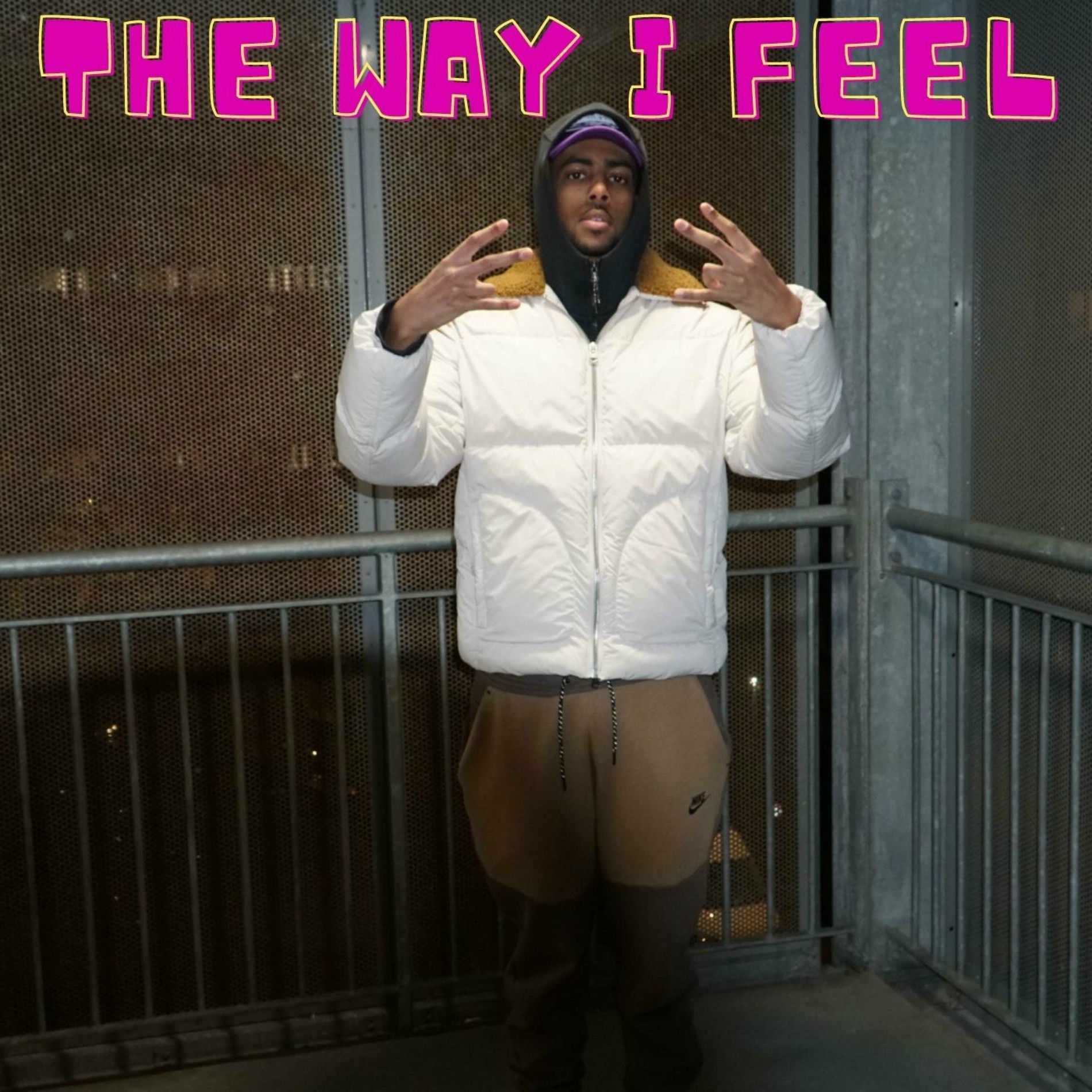 Album cover of The Way I Feel