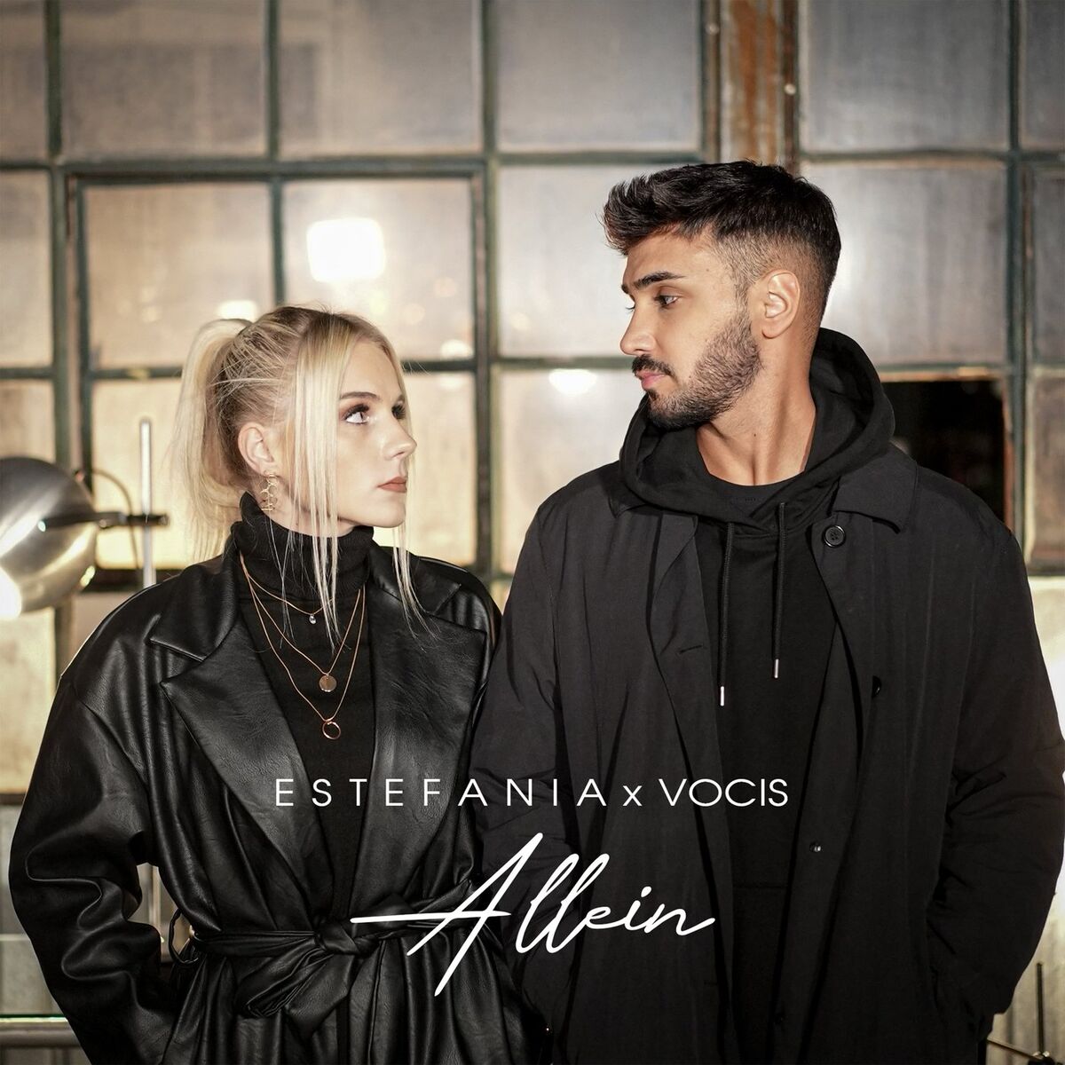 Album cover of Allein