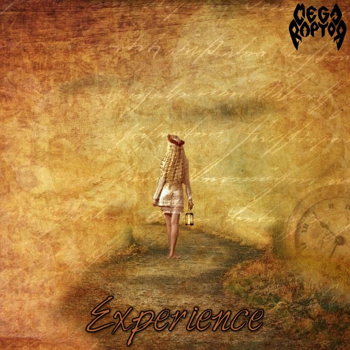 Album cover of Experience