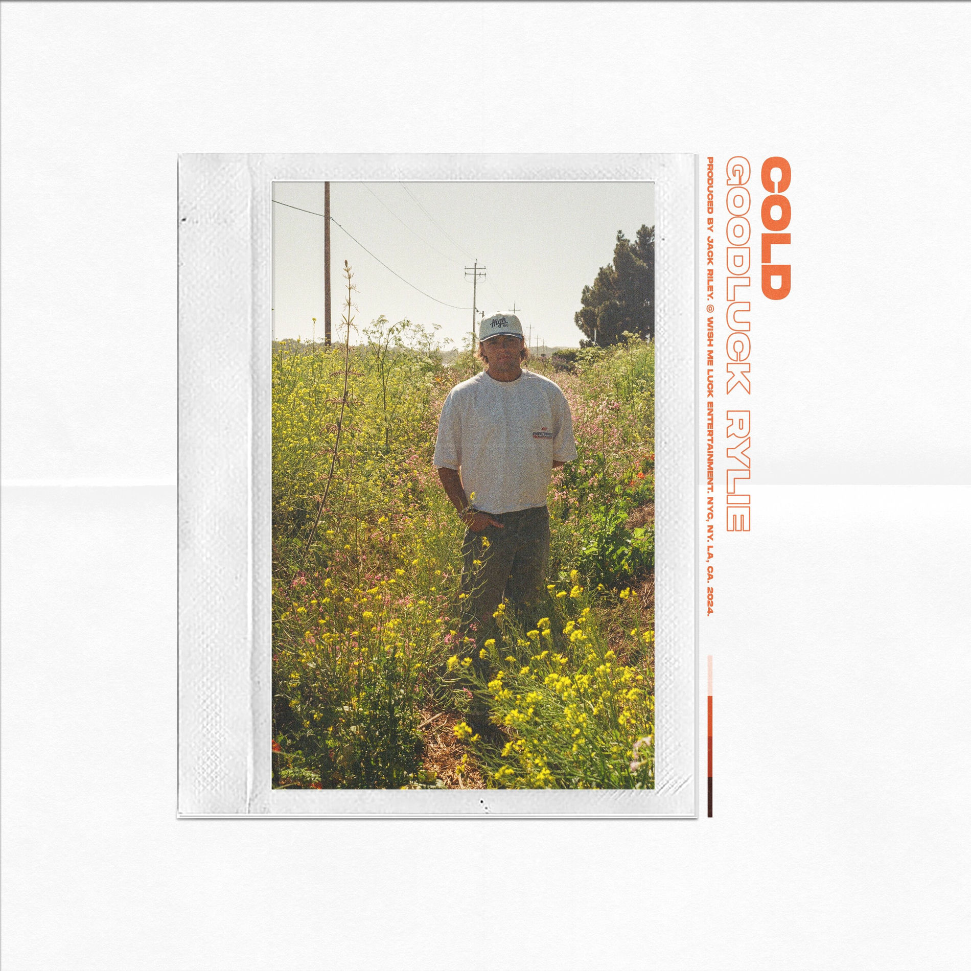 Album cover of Cold