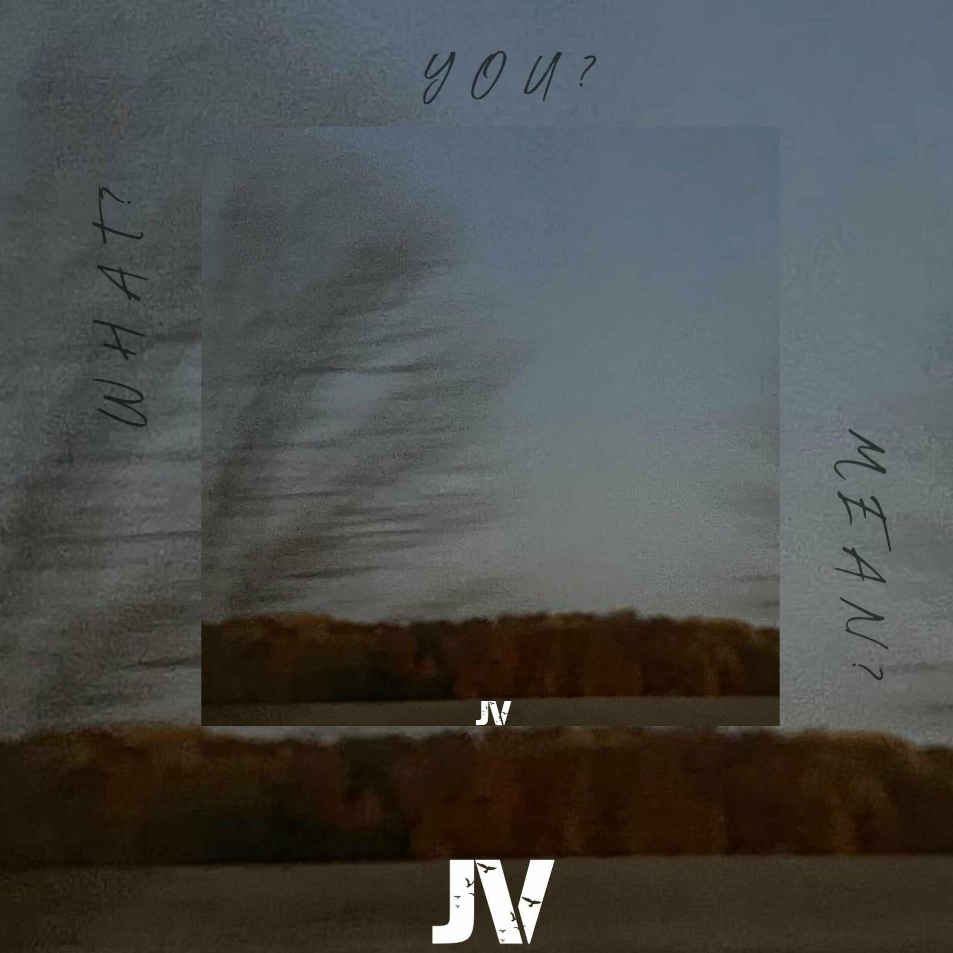Album cover of What? You? Mean?