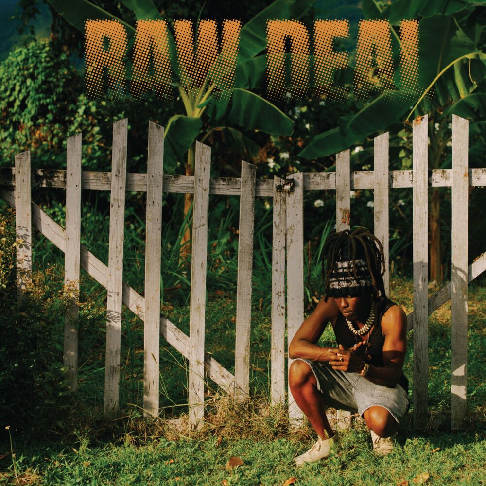 Picture of Raw Deal
