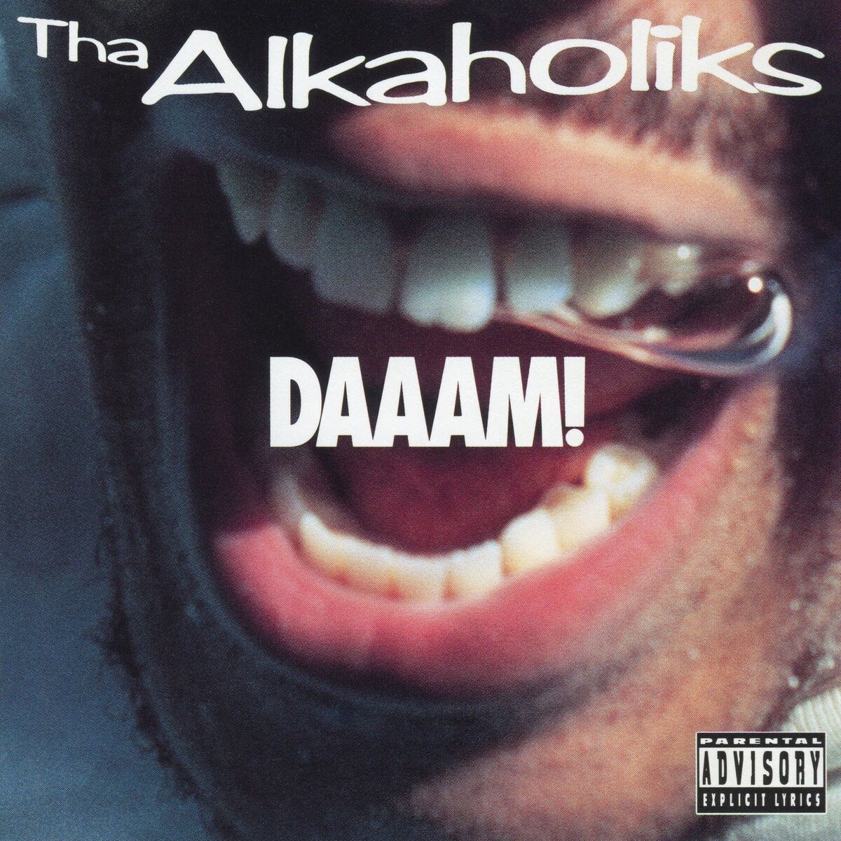 Album cover of Daaam!