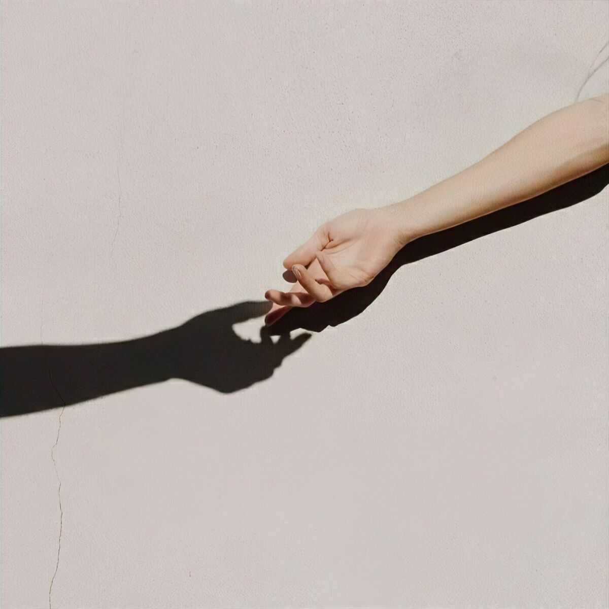 Album cover of Fremde Arme