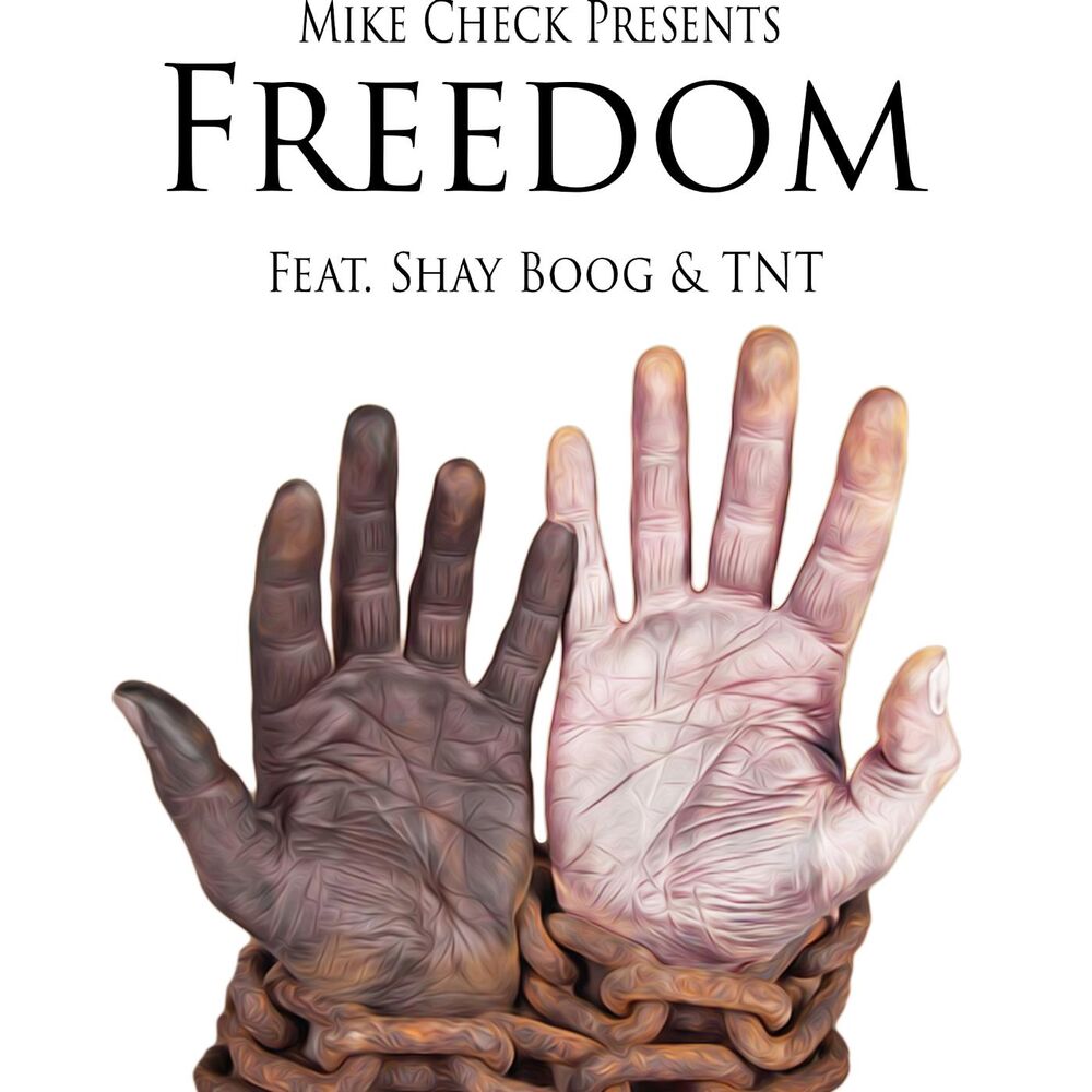 Picture of Freedom (feat. Shay Boog & Tnt)