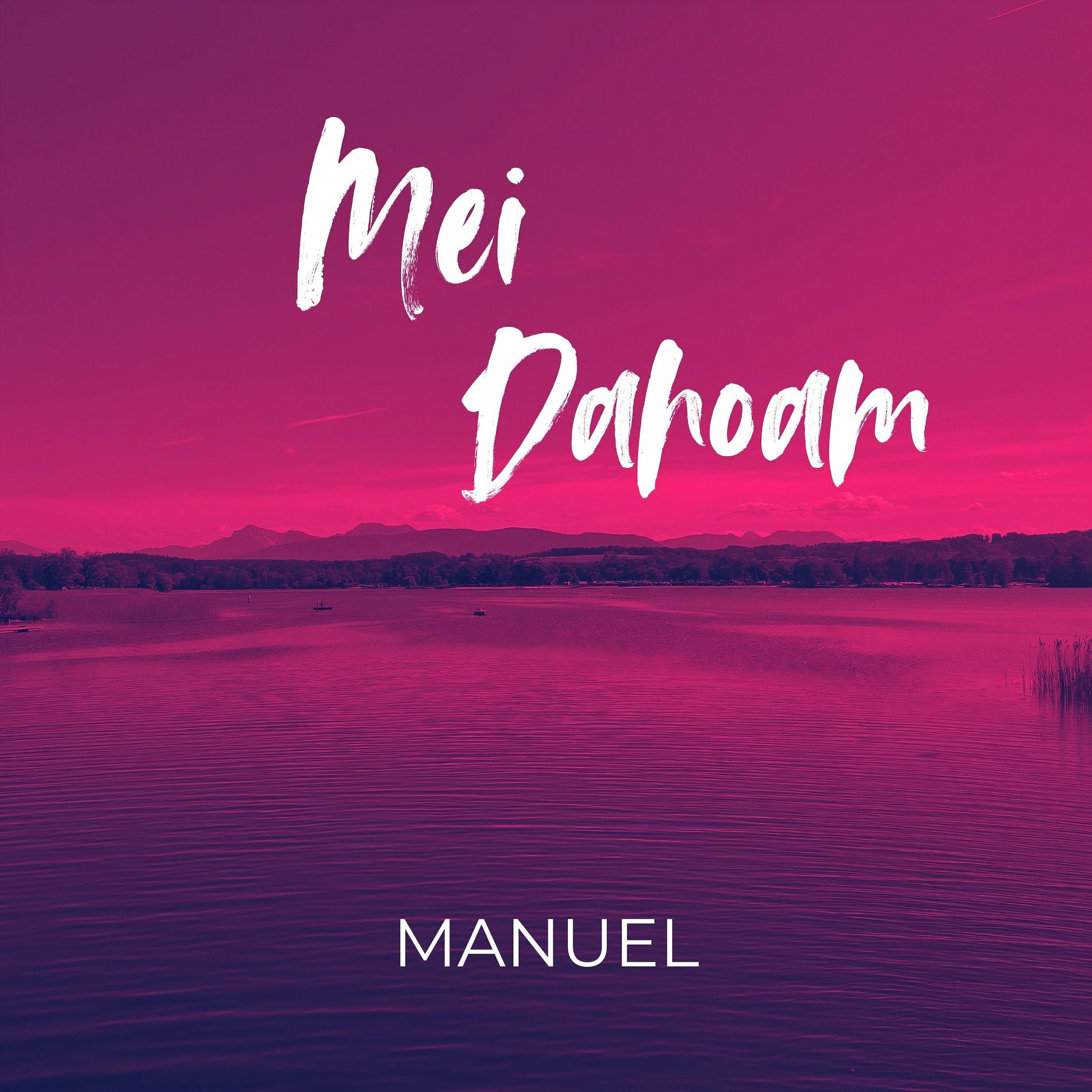 Album cover of Mei Dahoam