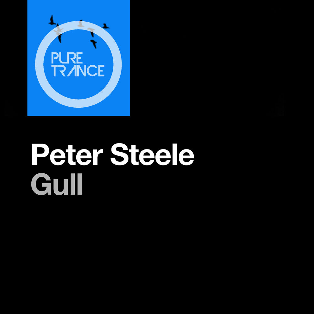 Picture of Gull