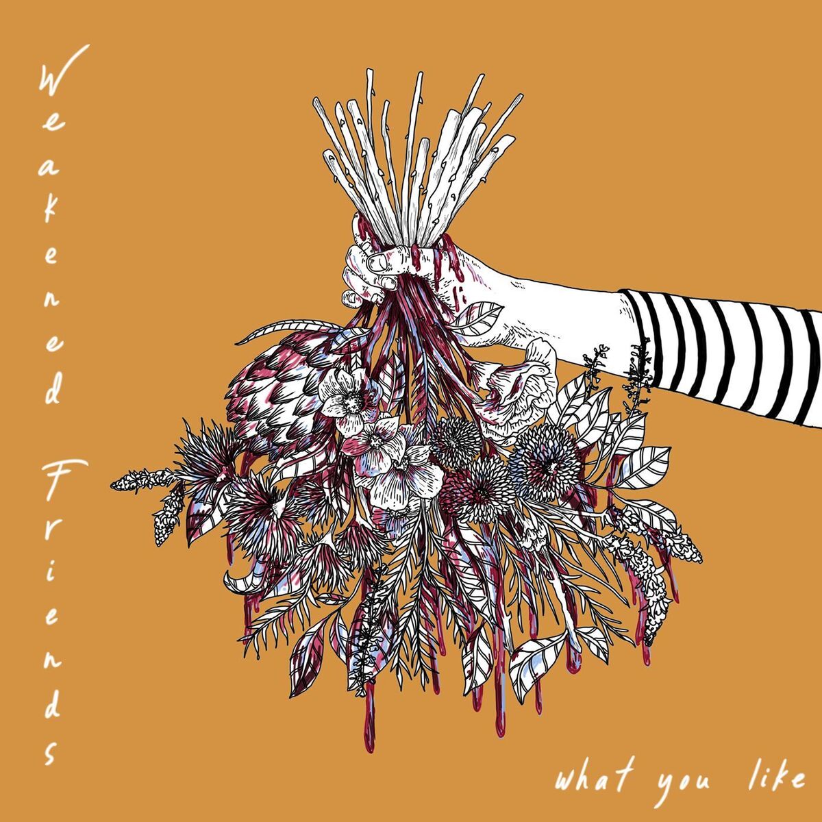 Album cover of What You Like
